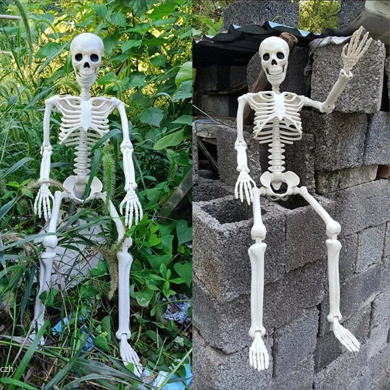 Squelette Articulé Halloween – Décoration Effrayante